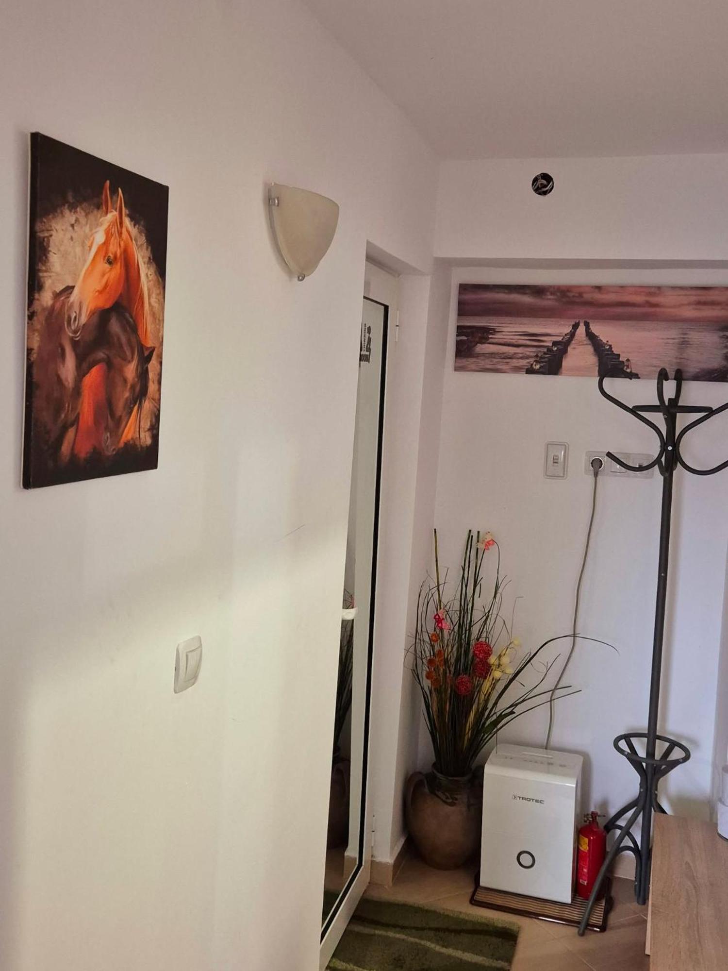 גברובו Apartment Shesti Uchastak מראה חיצוני תמונה